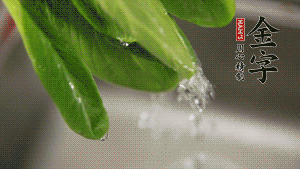 燒一鍋開水，滴一點(diǎn)油，水開后汆燙青菜至斷生即可。