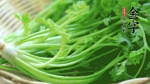 挑選鮮嫩的香菜，洗干凈后，處理成小段。