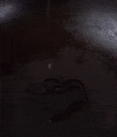 冷鍋熱油，下蒜片爆香，下香腸、玉米筍、蓮藕、西芹爆炒，期間加點(diǎn)水，翻炒1分鐘后加新鮮百合片，翻炒30秒。